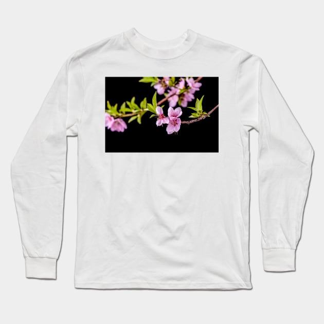 Blossom branch throw black background Long Sleeve T-Shirt by Choulous79